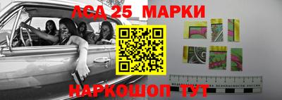 гидропоника Кандалакша
