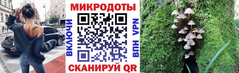 Псилоцибиновые грибы прущие грибы Светлоград