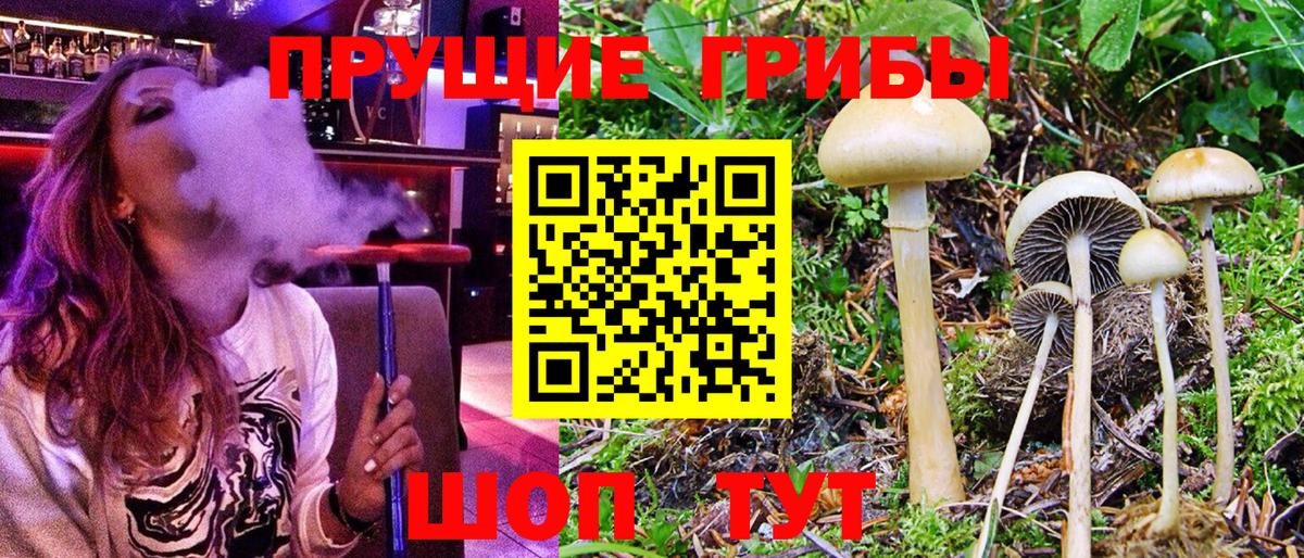 A-PVP Светлоград